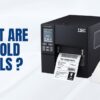 What Are Fanfold Labels?